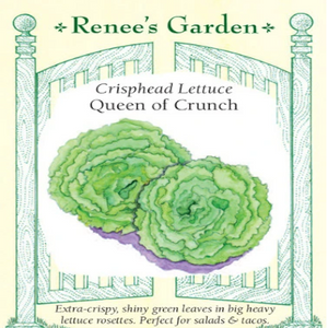 Lettuce Queen of Crunch