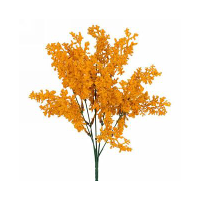 Marigold Orange Foliage Bunch