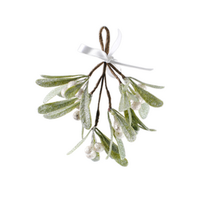 Mistletoe Hanging