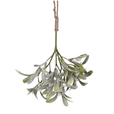 Mistletoe Hanging