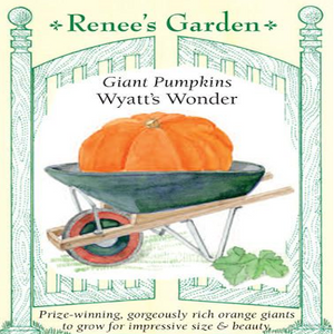 PUMPKIN WYATT'S WONDER GIANT