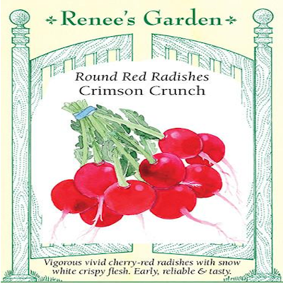 RADISH CRIMSON CRUNCH