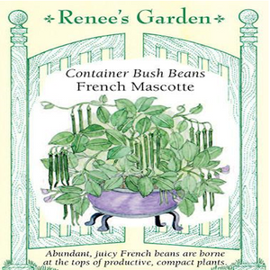 BEAN BUSH CONTAINER FRENCH MASCOTTE