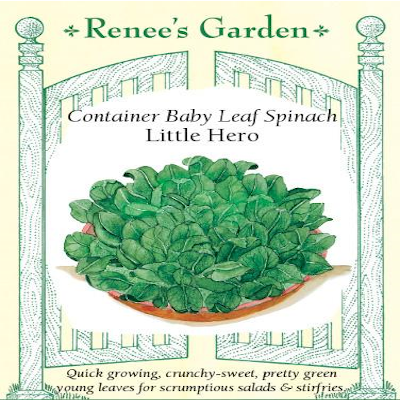 SPINACH CONTAINER LITTLE HERO