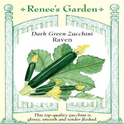 SQUASH ZUCCHINI TWILIGHT RAVEN