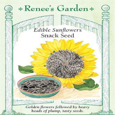 SUNFLOWER SNACK SEED EDIBLE