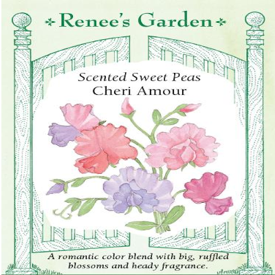 SWEET PEA CHERI AMOUR BOUQUET
