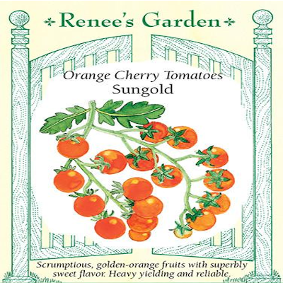 TOMATO CHERRY SUNGOLD