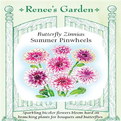 ZINNIA SUMMER PINWHEELS