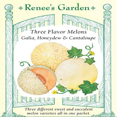 MELON THREE FLAVOR MIX