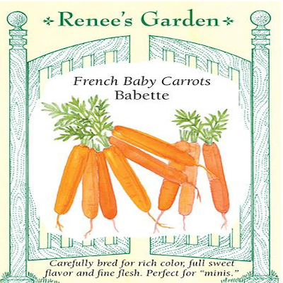 CARROT BABY BABETTE FRENCH