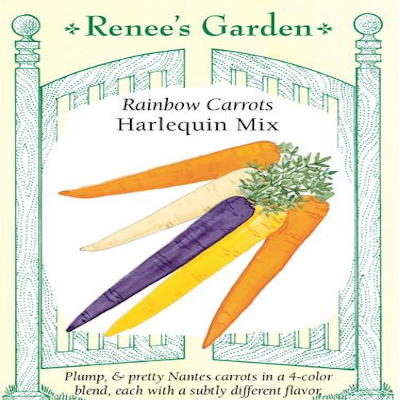 CARROT RAINBOW HARLEQUIN