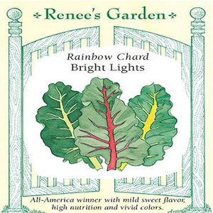 CHARD RAINBOW BRIGHT LIGHTS