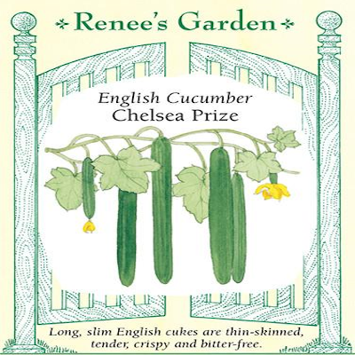 CUCUMBER CHELSEA PRIZE