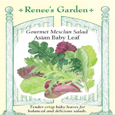 LETTUCE ASIAN BABY LEAF