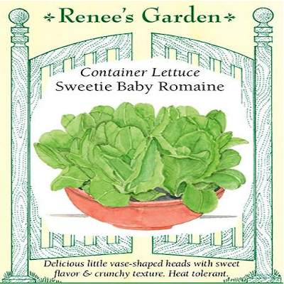 LETTUCE CONTAINER SWEETIE BABY ROMAINE
