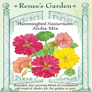 NASTURTIUM ALOHA MIX