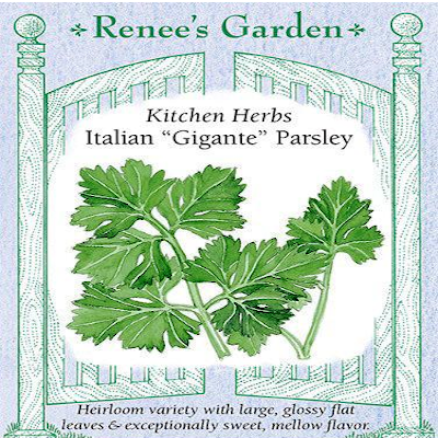 PARSLEY GIGANTE ITALIAN