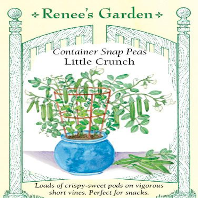 PEA SNAP CONTAINER LITTLE CRUNCH