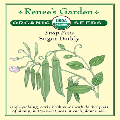 PEA SNAP SUGAR DADDY ORGANIC
