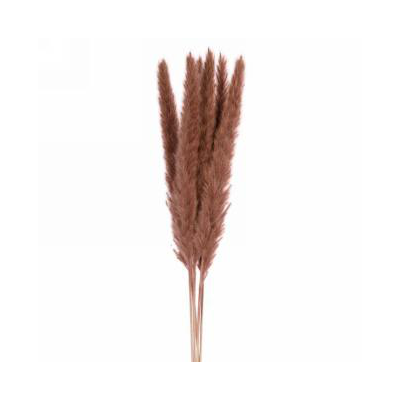 Rust Feather Stem